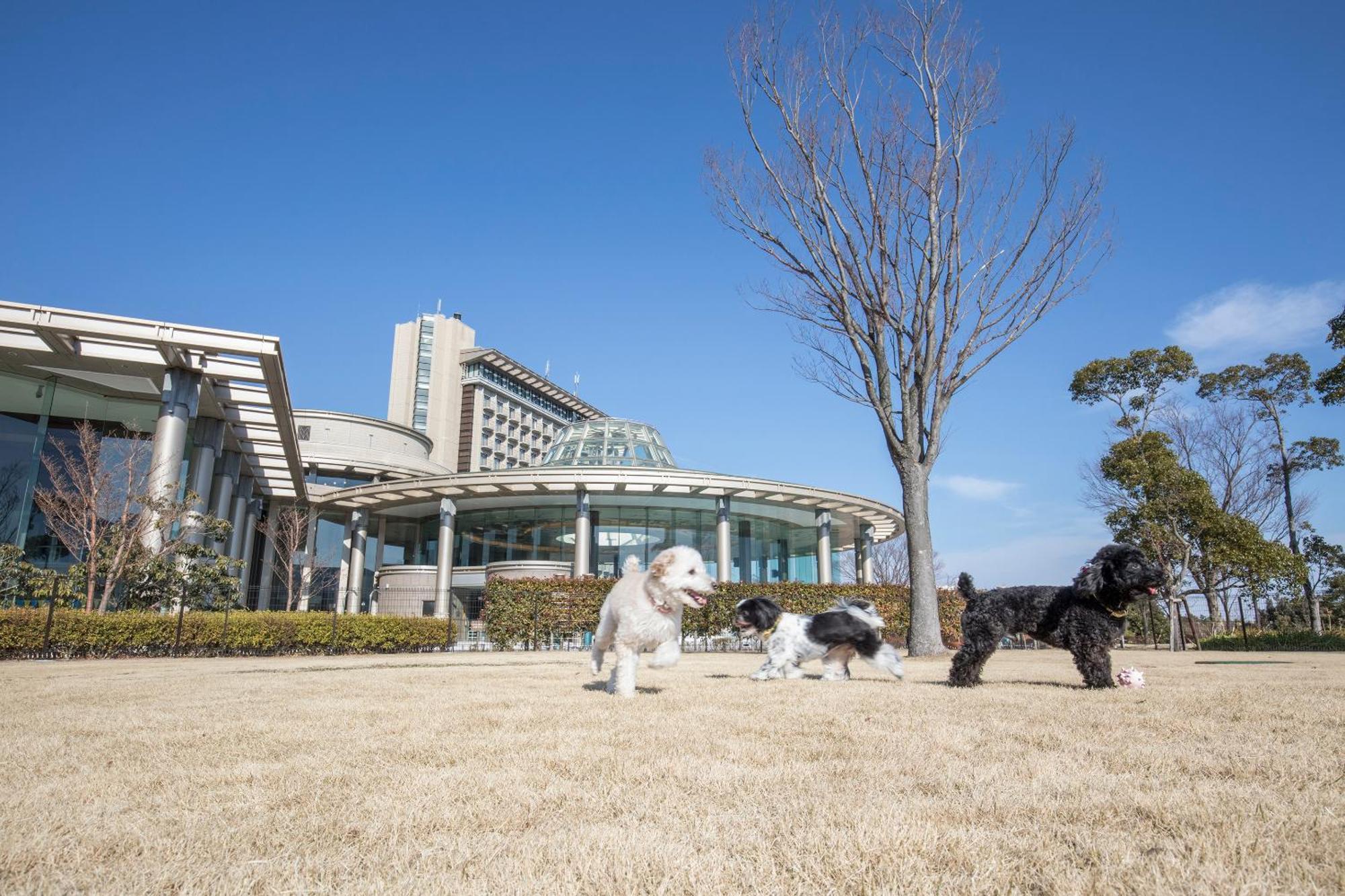 Hilton & 5* Odawara